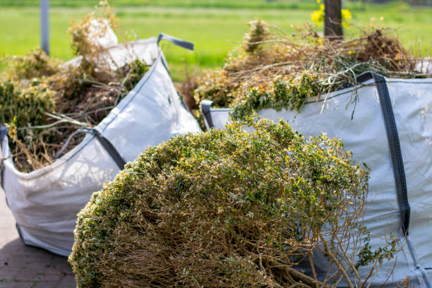 Best Construction Debris Removal  in Lake Havasu City, AZ